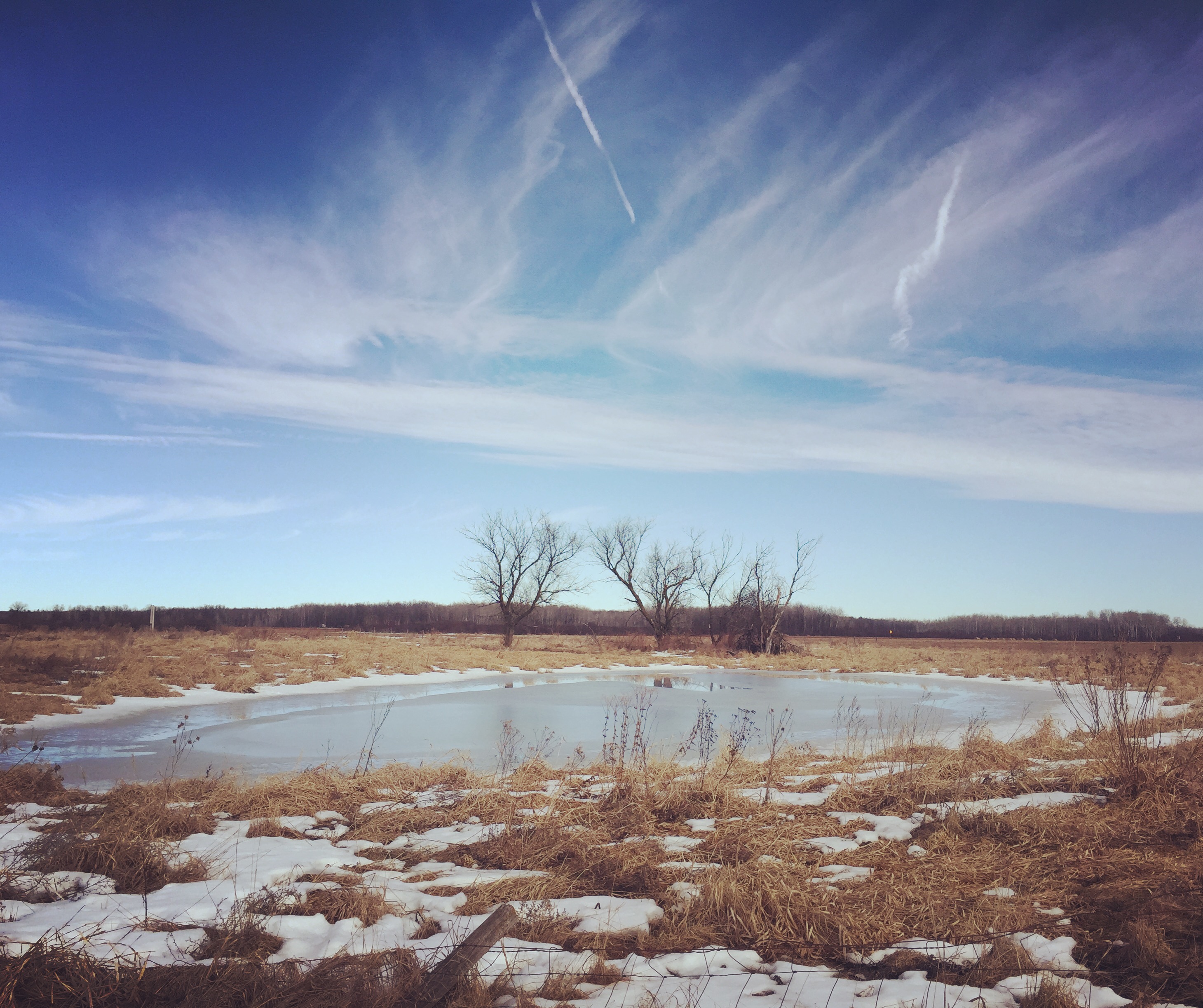 PreSpring Thaw twelve22